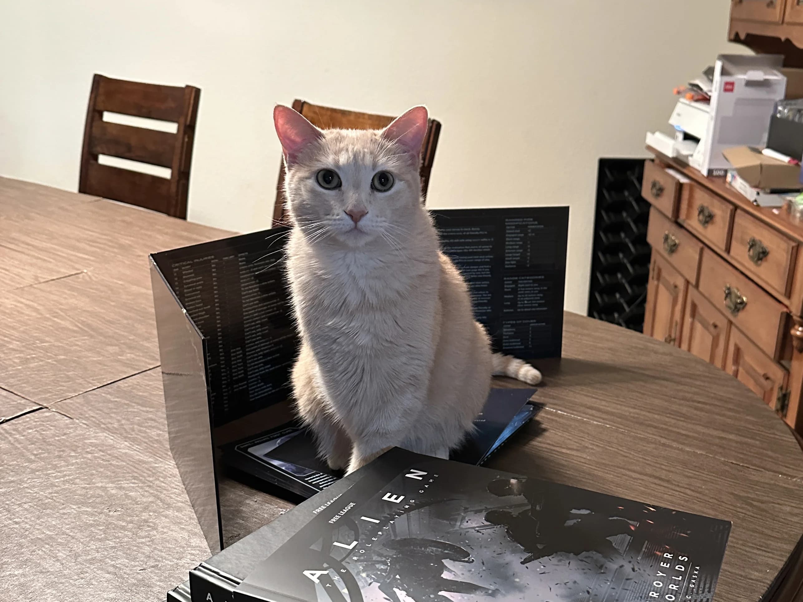 Ripley standing in front of a GM Screen for the ALIEN RPG.