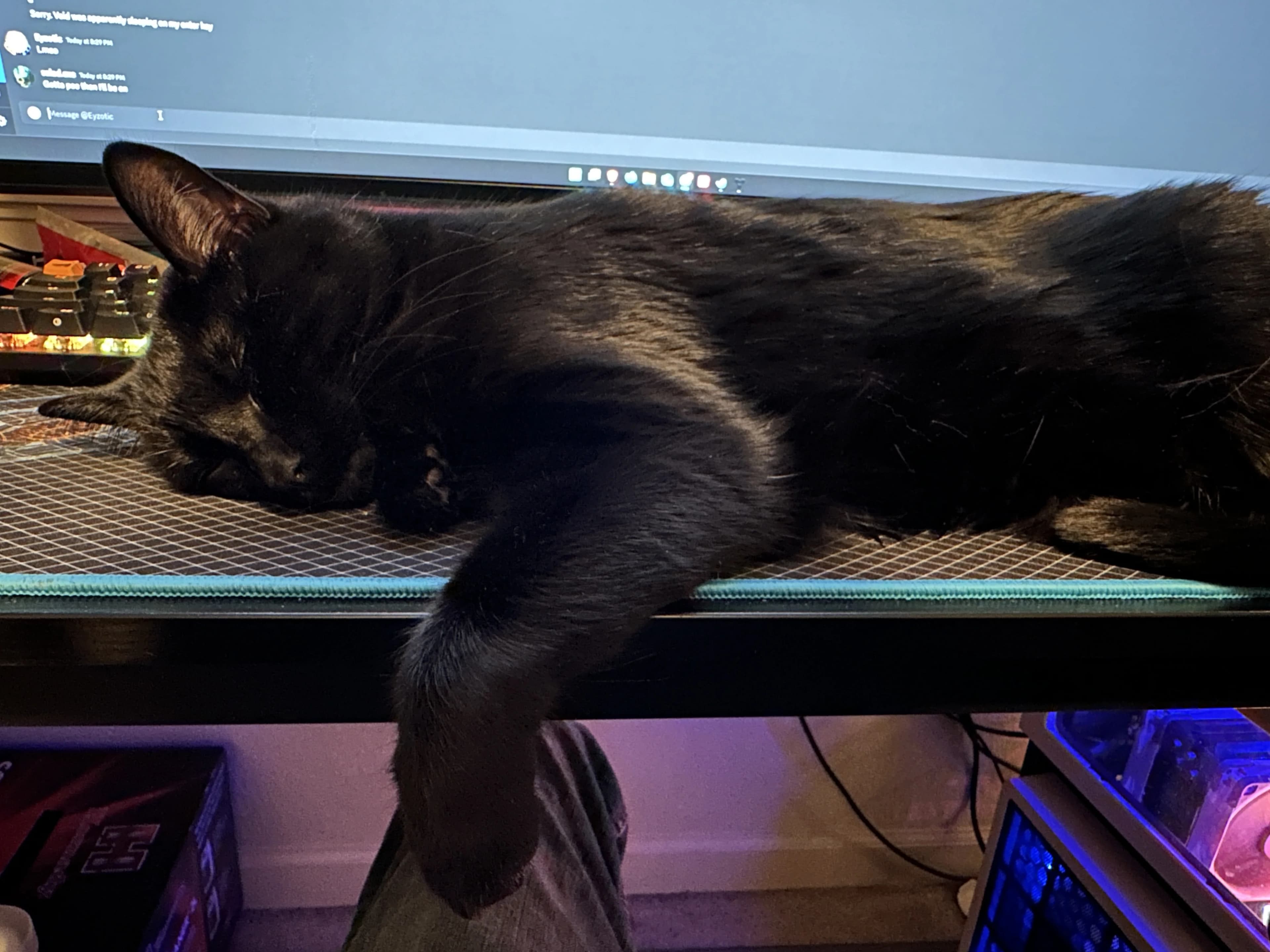 The Void Laying in front of a keyboard